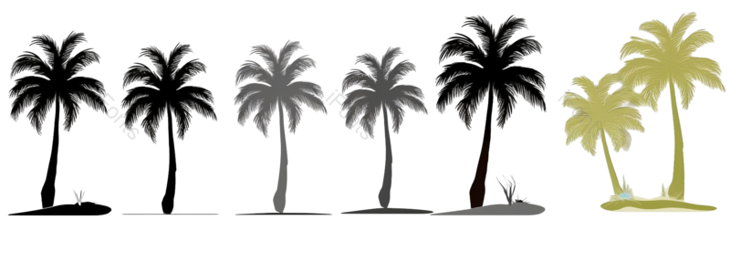 树木图片,盆栽元素,大树PNG,室内盆栽免抠素材